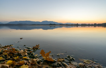 Autumn leaves at sea during sunset