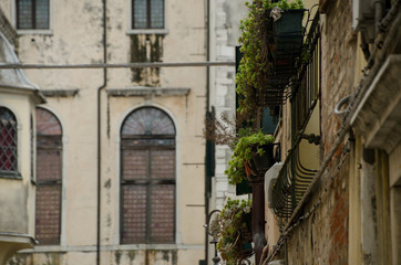Fototapeta na wymiar Picturesque walls and windows of Venetian Ghetto