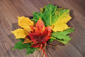 Colors of autumn. Bright maple leaves on wooden background.