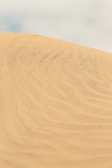 desert