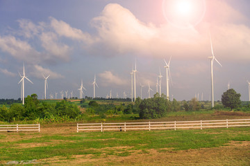 Morning light in a windmill field.