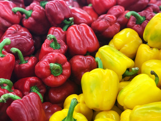 Red and Yellow sweet pepper background, Fresh ingredient for healthy food. Smart Choice.