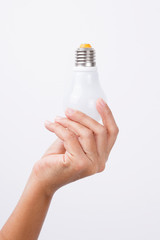  Hand Holding Light Bulb