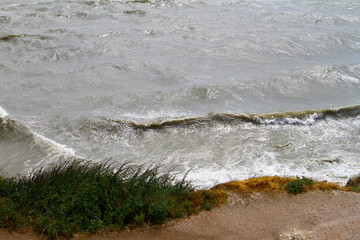 sea beach - wild beach with the forest, natural landscape photo