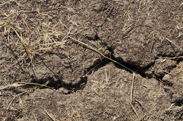 A dry land with cracks.