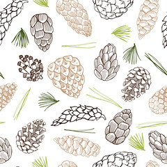 Vector  seamless pattern with   hand drawn pine cones.