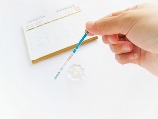 Hand holding Ovulation test strip with calendar on white background.