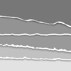 Fototapeta premium Vector background with collection of gray colors torn paper. Realistic paper stripes with ripped edges.