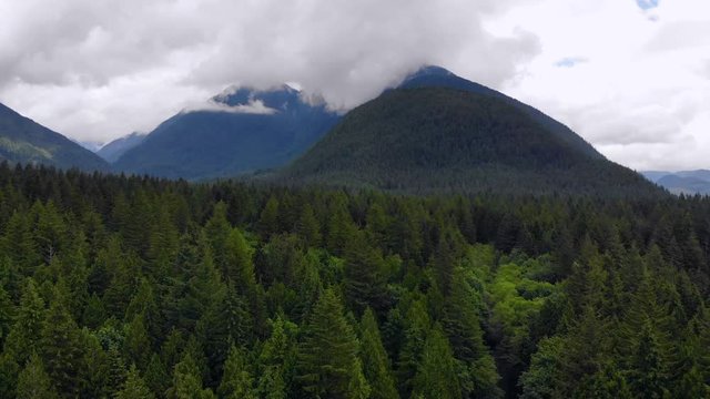 Aerial, pan, drone shot, of foggy mountains and green forest, on a cloudy day, in Golden ears provencial park, in British Columbia, Canada