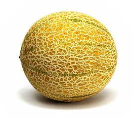 cantaloupe melon from side isolated on white background