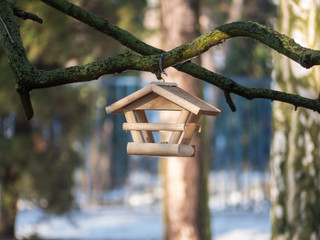 Winter Feed for birds. 