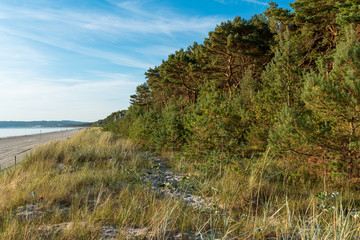 The beach Prora at the seaside resort Binz on the Rügen island in the north east of Germany