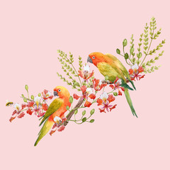 Watercolor tropical parrots vector composition