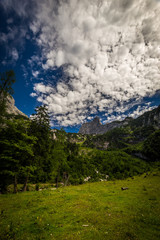Fototapeta na wymiar Scenic view to Dachstein from Hinterer Gosausee with dramatic blue sky and green forest near Salzburg, Austria