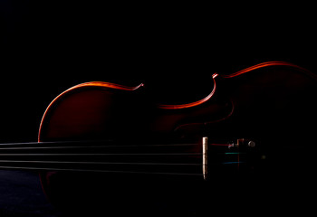 Violin Orchestra Musical Instruments