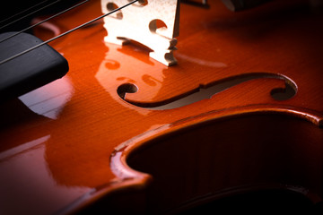 Violin Orchestra Musical Instruments