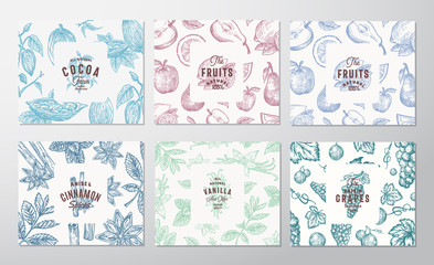 Hand Drawn Grapes, Fruits, Cocoa Beans, Mint, Nuts and Spices Cards Set. Abstract Vector Sketch Pattern Backgrounds Collection with Retro Typography Vintage Labels.