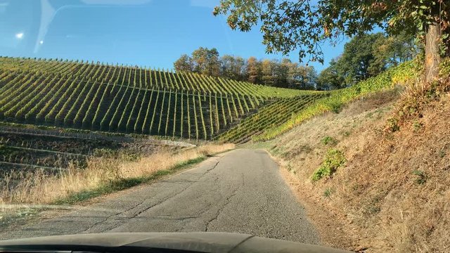 Car driving on vines fields in Durbach a few meters from Burg Staufenberg castle, Baden-Wurttemberg, Germany