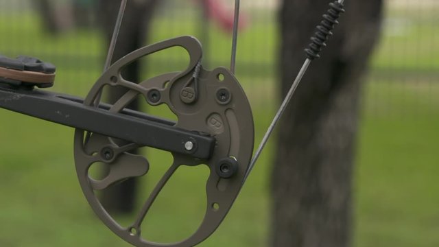 cam of a bow being drawn back