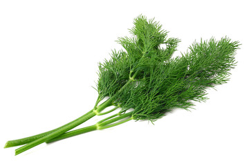 bunch fresh green dill isolated on white background