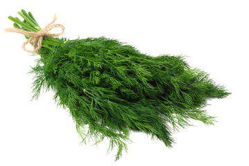 bunch fresh green dill isolated on white background