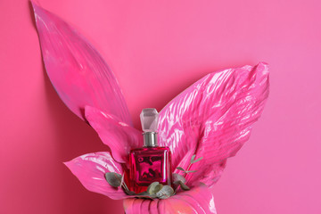 Bottle of perfume with pink tropical leaves on color background