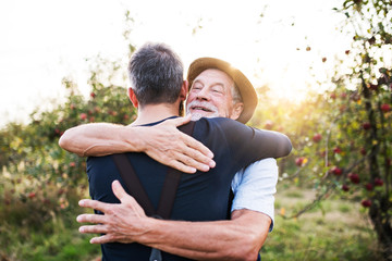 A senior man and adult son standing in apple orchard in autumn, hugging.