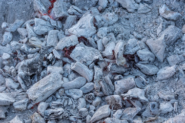 Smouldering carbons covered with ashes closeup