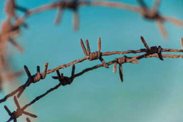 Old rusty barbed wire