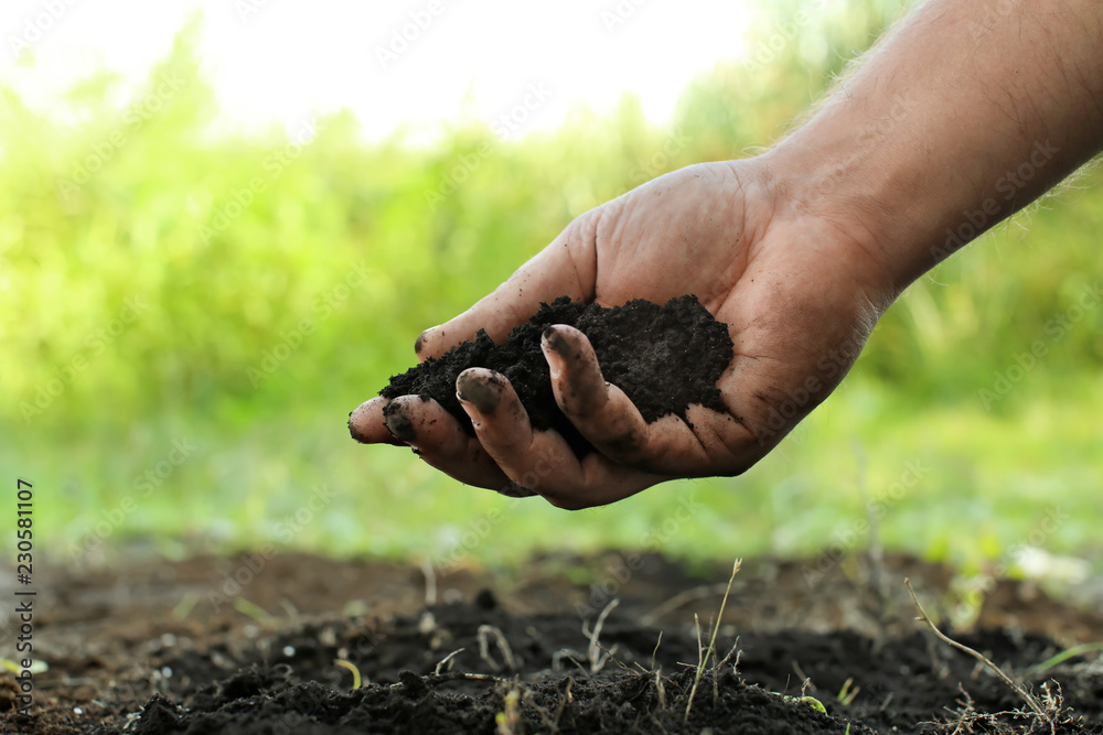 Wall mural man holding black soil outdoors