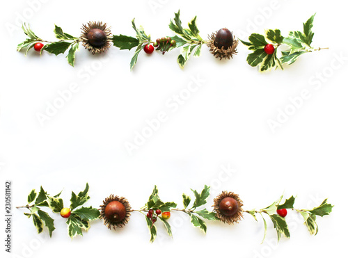 ヒイラギの葉とドングリと万両とクマタケランの実のクリスマスの飾り Stock Photo And Royalty Free Images On Fotolia Com Pic