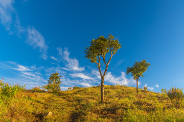 Beautiful Mountain View of  Phu Chi Fa , Thailand