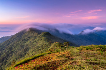 Landscape of sunrise on Mountain View of Phu Chi Fa , Thailand
