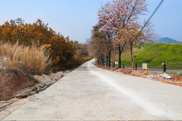 under construction slope road with beautiful mountain view and pink flowers on trees.