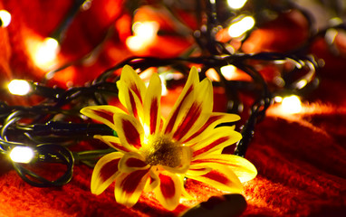 abstract background with flowers