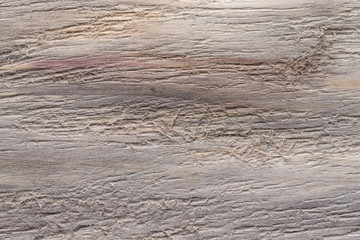 Rough weathered wooden board. Rustic texture for background