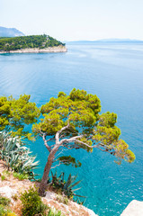 Slanted mountains pine tree on rocky sea shore with island on the background
