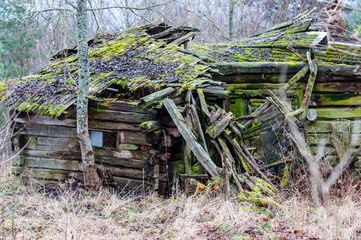 Abandoned collapsed obsolete rural wooden house ruins
