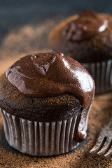 Homemade Chocolate Muffins