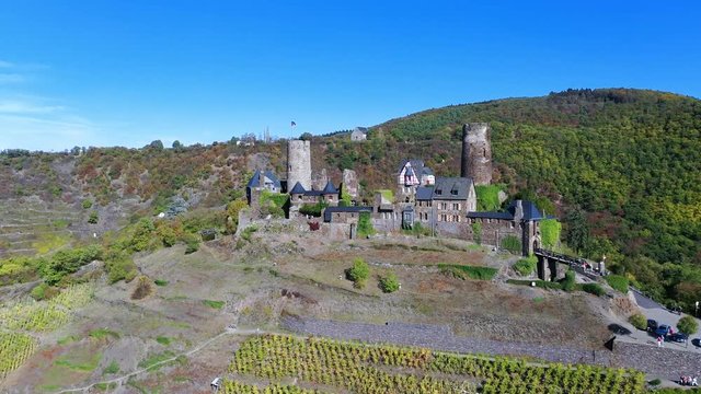Aerial view of vineyards in autumn near Alken, Moselle River