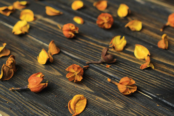 petals of dried flowers on wooden background