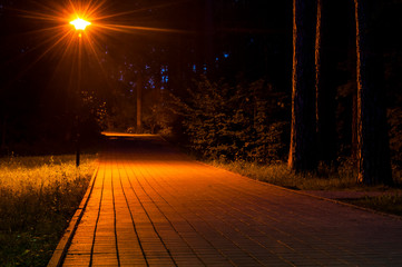 Forest sidewalk way at night. Street lantern illuminating footpath