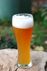 weißbier weizenbier