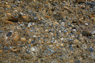 Stone texture of rock from shell and sandstone. Gray wall of sandstone with separate pebbles. Barbed texture of a wall made of stones. coquina background old fossil