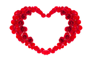 Rose petals isolated on white