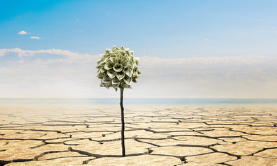 Make your income grow. Mixed media