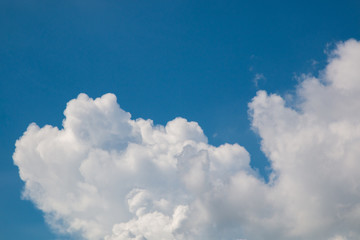 Naklejka na ściany i meble blue sky and white fluffy cloudy background .