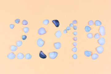 2019. New Year. Inscription 2019 made of seashells. Creative greeting card for New Year. Pattern for year of yellow earth pig. Light orange background. Copy space