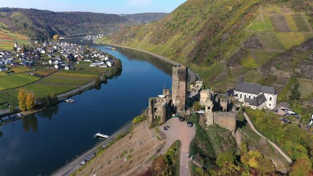 Aerial view of vineyards in autumn near Polterndorf with Metternich castle,, Moselle River, Moselle Valley, Cochem &ndash; Zell, Rhineland-Palatinate, Germany