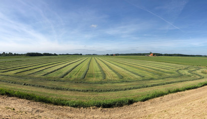 Fototapeta na wymiar Panorama from farmland